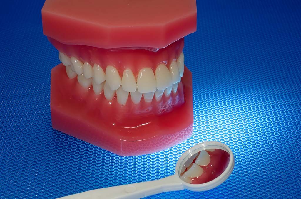 oral dental health