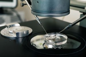 IVF News