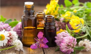 Essential oils are extracts from various plants.